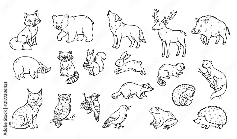 Naklejka premium Forest Animals Cartoon Hand Drawn Doodle Vector Illustration Set Isolated on White