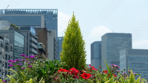 Obraz na płótnie オフィス街のオアシスと鮮やかな植栽