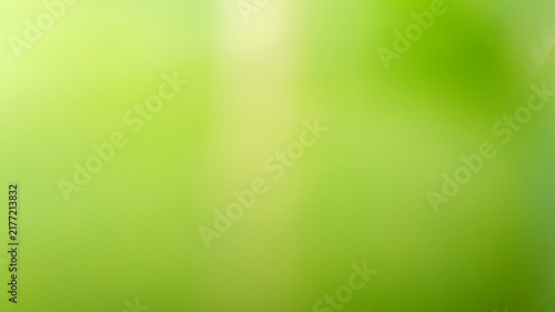 Canvastavla Soft green blurred background with diffused natural light and subtle organic tones
