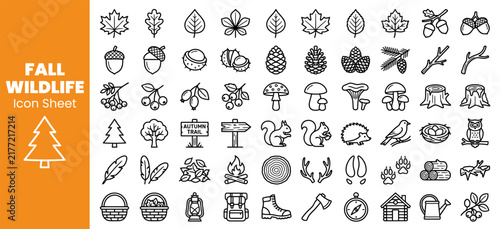 Fall Wildlife Icon Set with Forest Animals and Plants.