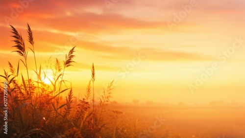 Golden Sunset Over Meadow with Tall Grass. AI Generative.