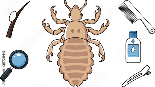 Head Lice Infestation and Removal Treatment Vector Set featuring Parasite Bug Nit Egg on Hair Strand Fine Comb Magnifying Glass Shampoo and Clip