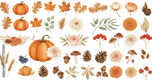 Watercolor autumn harvest set featuring pumpkins orange leaves pine cones acorns mushrooms and floral elements isolated on a white background
