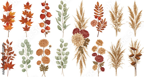 Set of watercolor autumn floral elements featuring colorful maple leaves dried grass branches and rustic flowers isolated on white background