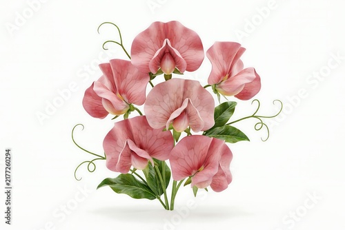 3D Cartoonish Pink Sweet Pea Flower Cluster with Delicate Petals and Textured Green Leaves Isolated on White Background