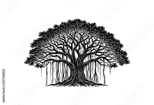 Detailed black silhouette of a large tree with aerial roots on white