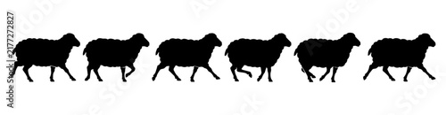 фотографія Walking sheep silhouette motion sequence