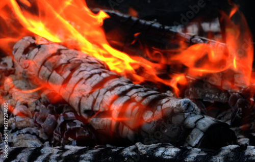 Close Up of Burning Log in a Very Hot Campfire 
