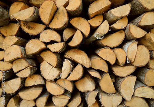 Stacked Birch Firewood Logs in Storage for Drying
