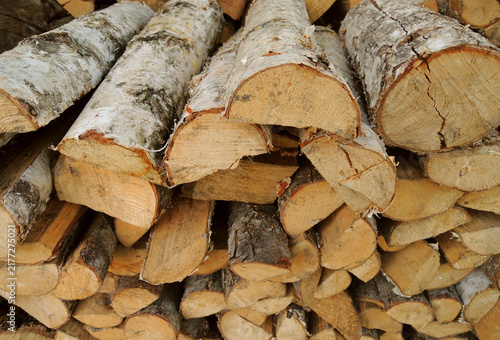 Split in Half Birch Firewood Logs Stacked in Pile

