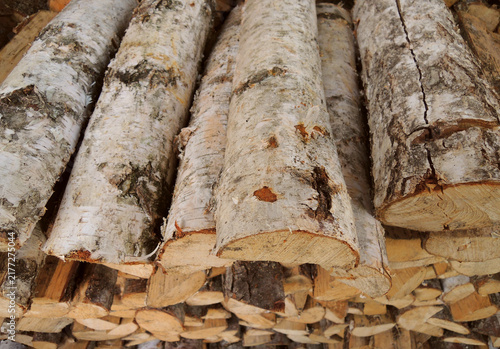 Stack of Dry Chopped in Half Birch Firewood Logs
