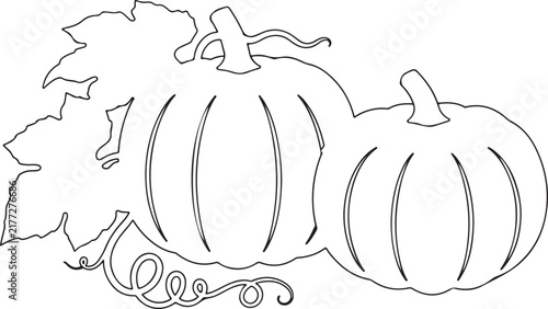 Hand-Drawn Vintage Two Pumpkins with Leaves Line Art Illustration Vector
