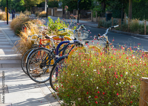 Photography Bikes parked on a London street among rain gardens or sustainable urban drainage