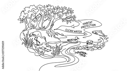Ecosystem illustration: Clean water and habitat protection in a natural environment