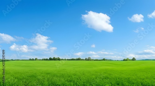 Vibrant green meadow under a bright blue sky with fluffy white clouds.
