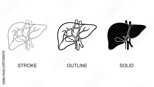 Liver icon set, human organ anatomy, medical vector illustration
