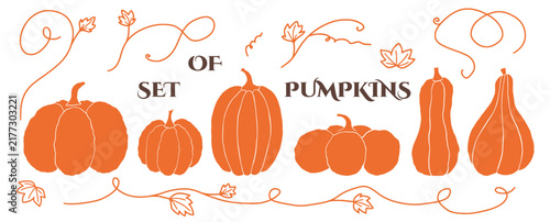 Autumn pumpkin hand drawn doodle collection with leaves and decorative swirls and vines. Seasonal harvest elements for Halloween, Thanksgiving and fall holiday designs.