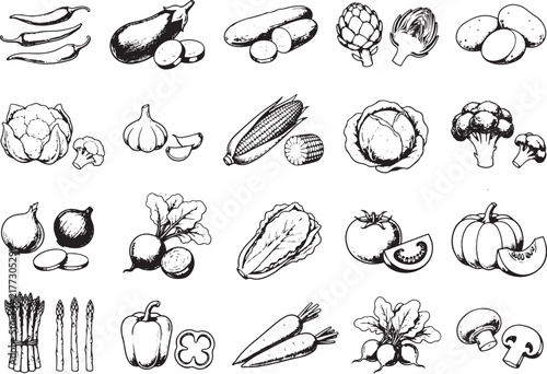 Fresh vegetable icon grid set featuring healthy organic farm produce vector illustration
