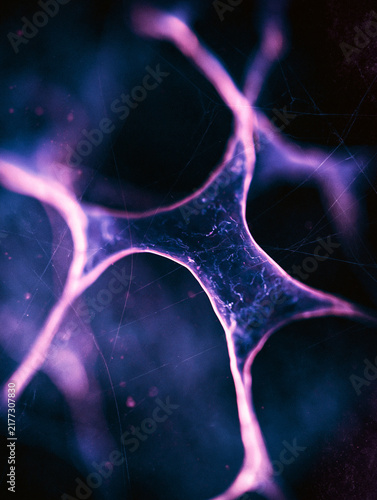 Purple and Blue Web‑Like Membrane Structure