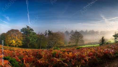Panorama Landscape Image Of Wendover Woods On Foggy Autumn Morning