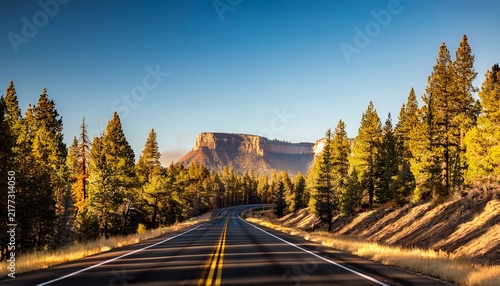 Williams Arizona Usa November Evergreen Trees Adorn The Highway From Williams Arizona To The Grand Canyon With A Mountain In The Background On A Bright Sunny Fall Morning