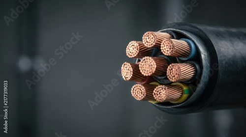 Sliced cable showing copper strands inside black insulation with multiple wires for electrical use