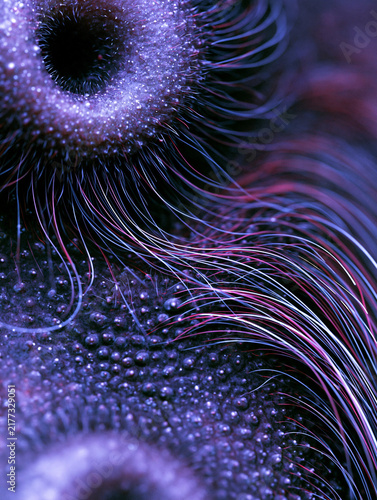 Iridescent Filament Surface with Deep Pores