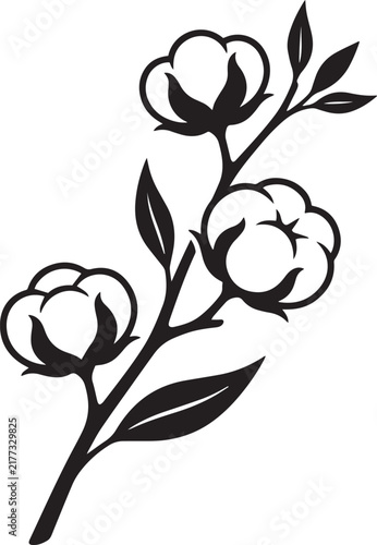 Принти на полотні Cotton flower branch vector illustration, black and white botanical cotton plant