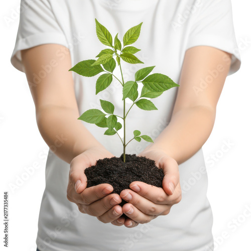 Person holding a small green plant in hands with soil isolated on white background