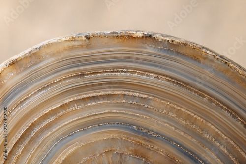an exposed agate cross-section showing delicate colorful mineral bands and layers