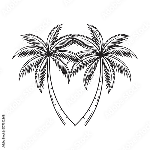Two palm trees with detailed fronds black and white sketch