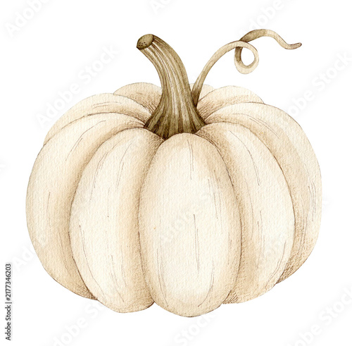 Beige pumpkin art. Hand drawn watercolor. Fall illustration.
