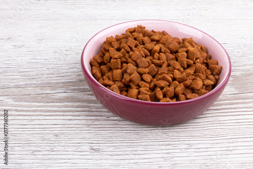 Bowl with animal food
