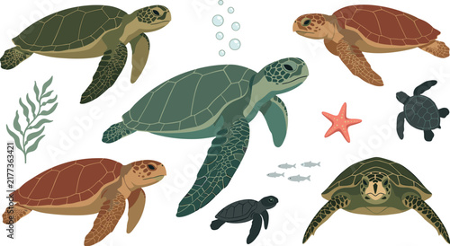Konstfotografi Sea turtle marine wildlife vector illustration set with green loggerhead hawksbill turtles hatchlings starfish seaweed isolated elements