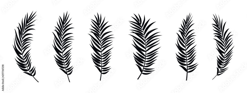 Obraz premium Collection of black palm frond silhouettes on a white background