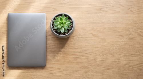 Minimalist laptop and succulent plant on wooden desk modern workspace background