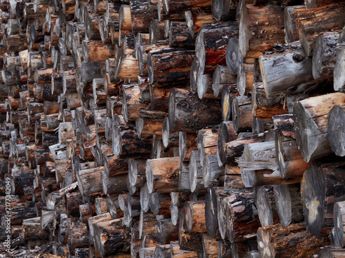 Stored Cut Logs in a Timber Yard