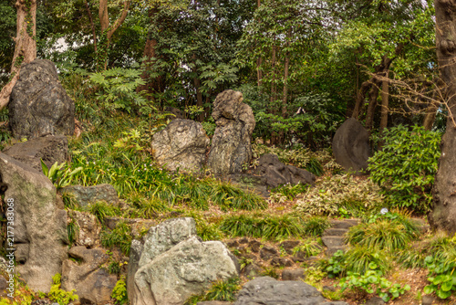 Photography Massive rocks and lush spring foliage on the garden hillside March 2024