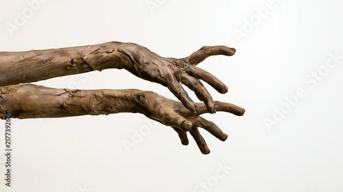 Pair of decomposing undead hands extending from the right side of the frame against a clean white backdrop, damaged flesh and dirty fingernails, Halloween zombie, horror costume, w