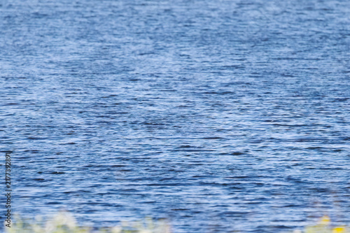 Fotografie A shimmering dark blue lake, gentle waves, blue water surface, blue lake with wa