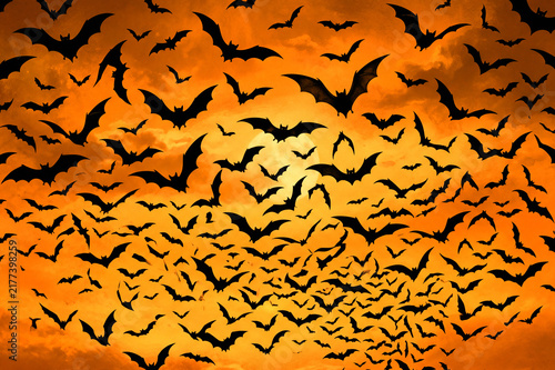 Halloween Banner with Black Bats Swarm on Orange Background, Spooky Bat Pattern