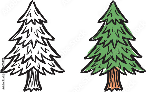 Hand Drawn Pine Tree Doodle Illustration, Line Art and Colored Evergreen Conifer Sketch, Botanical Vector Design Set
