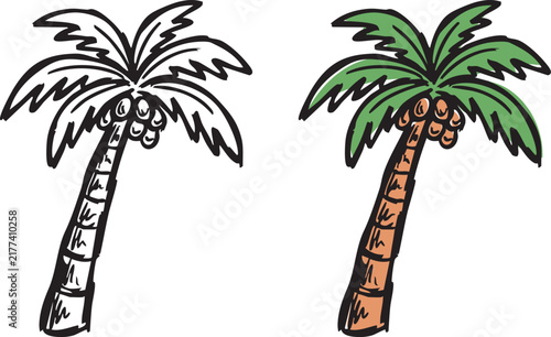 Hand Drawn Coconut Palm Tree Doodle Illustration, Curved Trunk, Line Art and Colored Tropical Tree Sketch Vector Set
