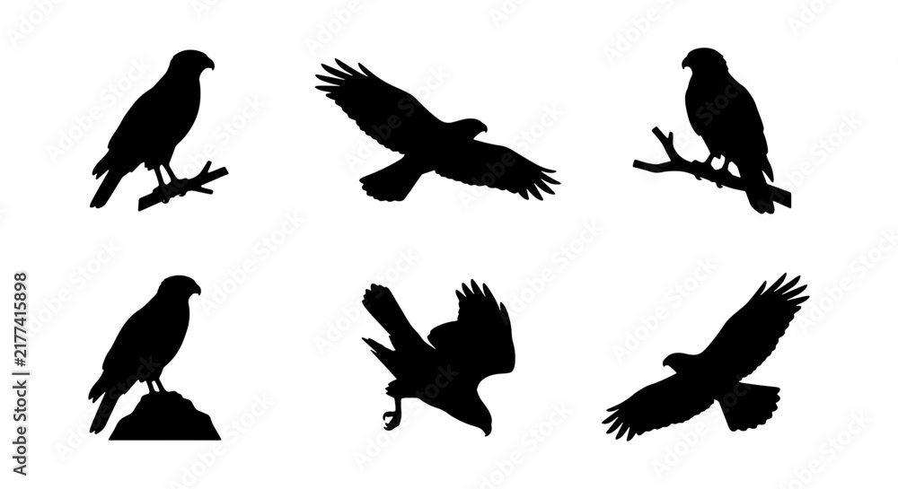 Fototapeta premium Silhouette Eagle Icons, Bird of Prey Vector Set, Majestic Raptor Graphics, Wildlife Silhouette Collection, Avian Predator Art