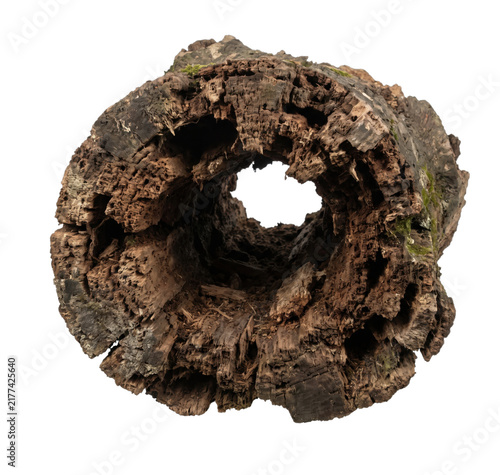 Quadro su tela Hollowed out decaying tree trunk section with rough texture on transparent backg