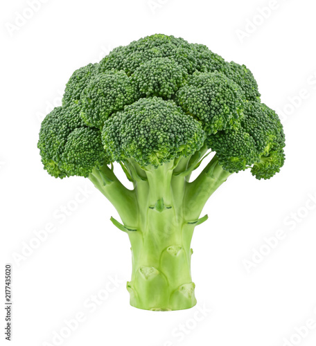 Fresh green broccoli head on transparent background