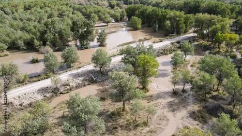 Foto Aerial view of populus euphratica forest with water replenishment in Tumushuke c
