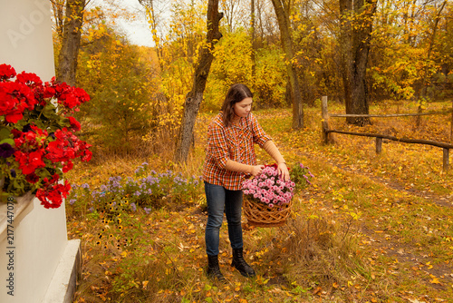 Canvas Print A woman in a checkered fisherman's hat holds a wicker basket of chrysanthemum flowers outside her rural home on an autumn day