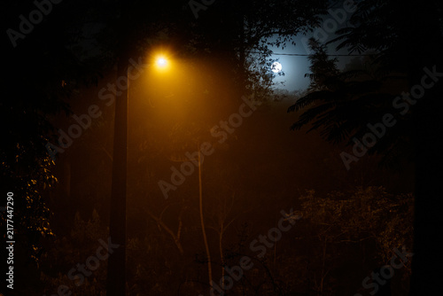 Tapety artystyczne Luz e Lua