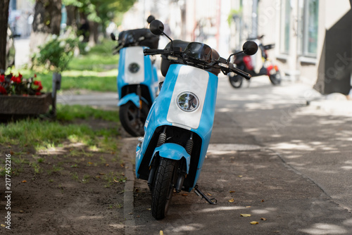 Obraz na plátně Two blue shared electric mopeds stand on a marked parking strip beside a tree-lined pavement, rental fleets taking the kerb space that cars used to hold